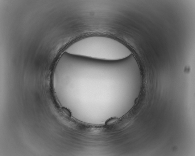 X0000112800495200908211006
