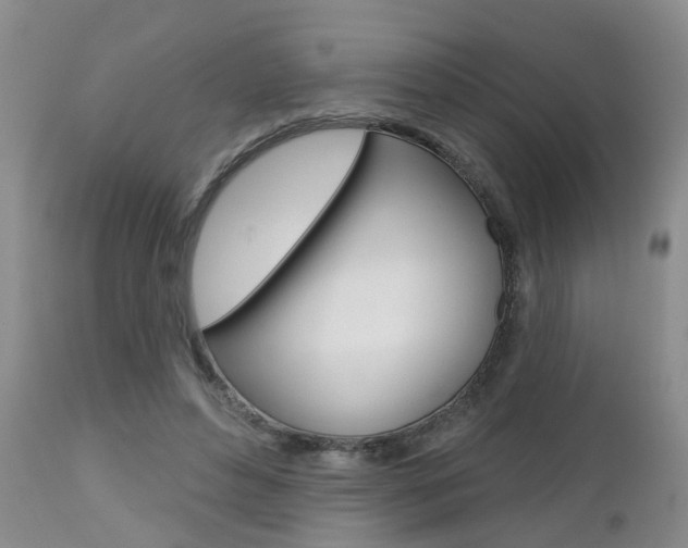 X0000112800496200908211006