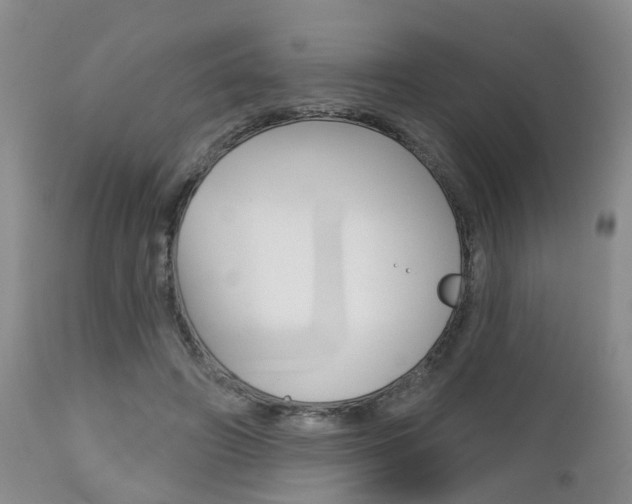 X0000112800498200908211006