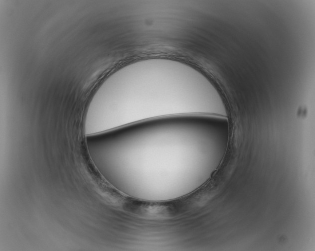X0000112800501200908211006