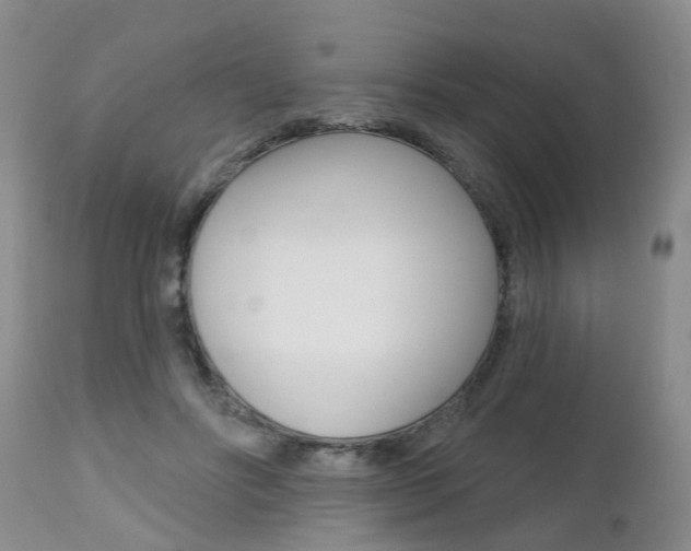 X0000112800502200908211006