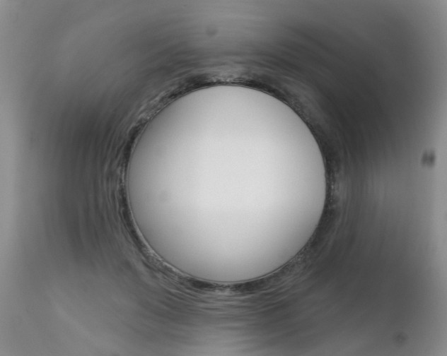 X0000112800503200908211006