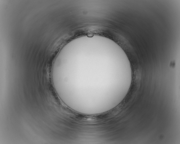 X0000112800506200908211006