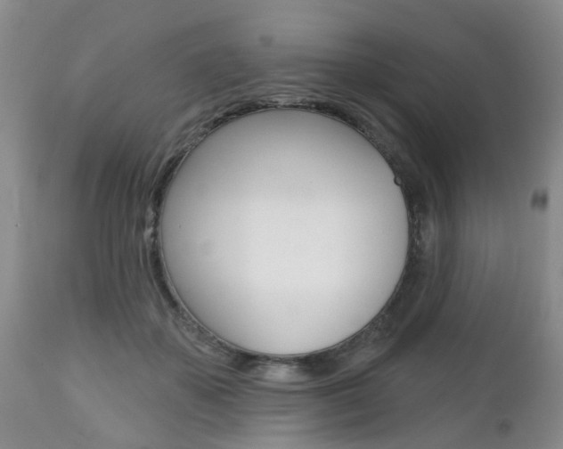 X0000112800507200908211006
