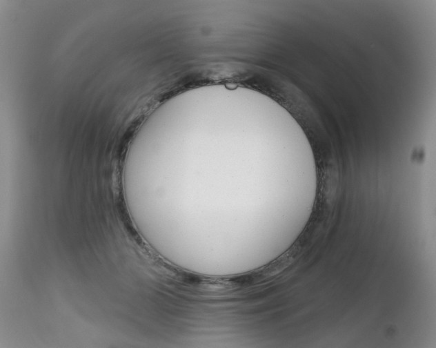 X0000112800510200908211006