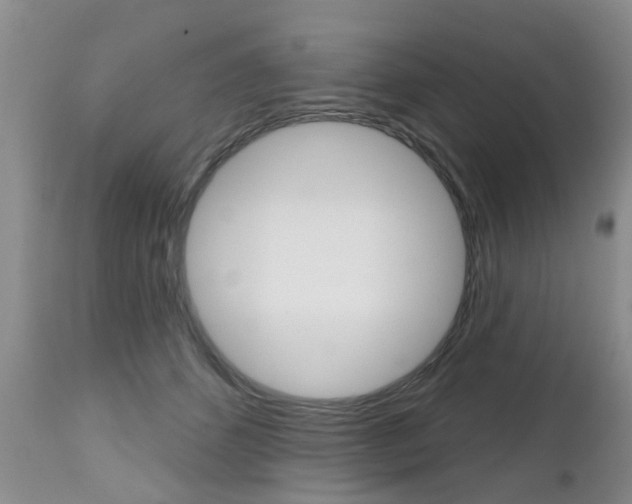 X0000112800512200908211006