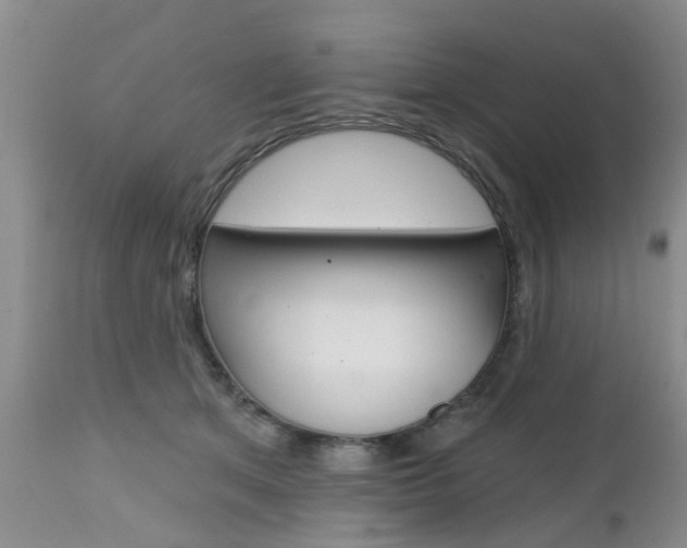 X0000112800513200908211006