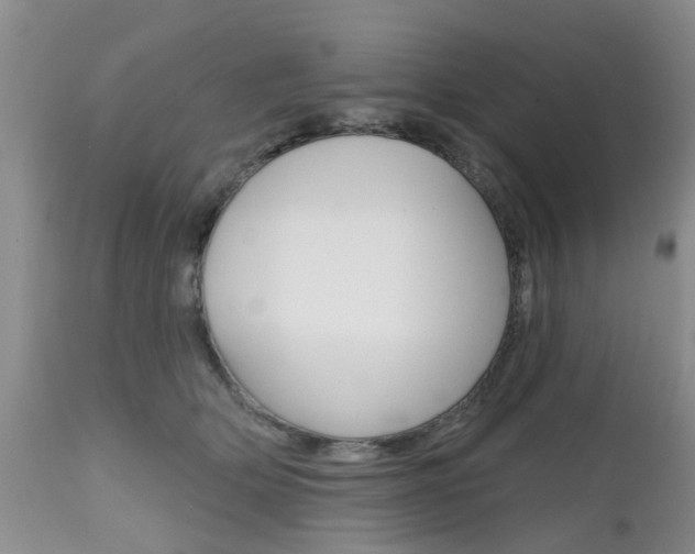 X0000112800514200908211006