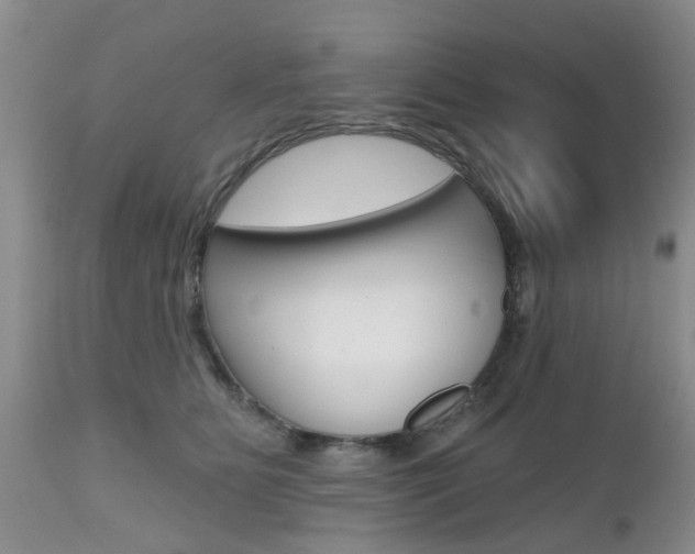 X0000112800515200908211006