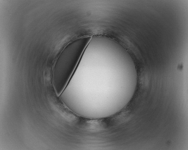 X0000112800516200908211006