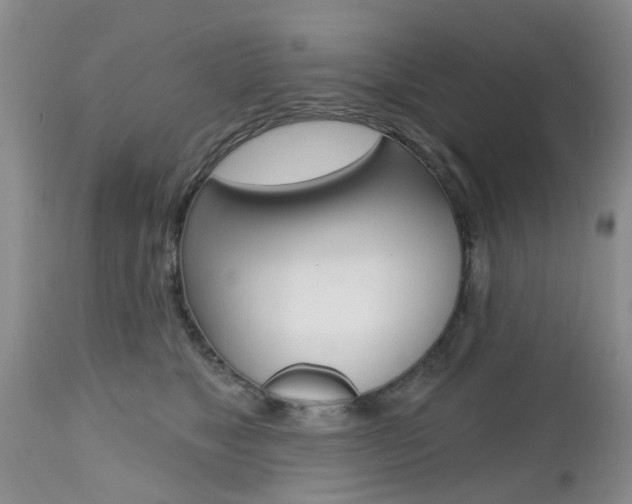 X0000112800517200908211006