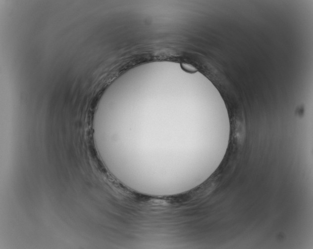 X0000112800519200908211006