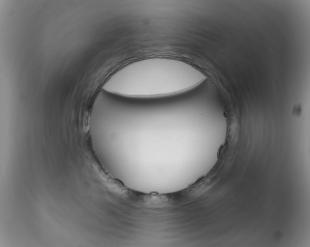 X0000112800525200908211006