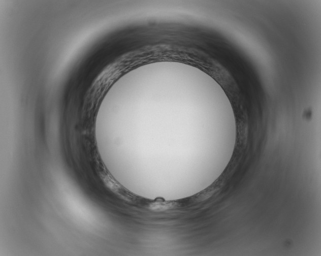 X0000112800526200908211006