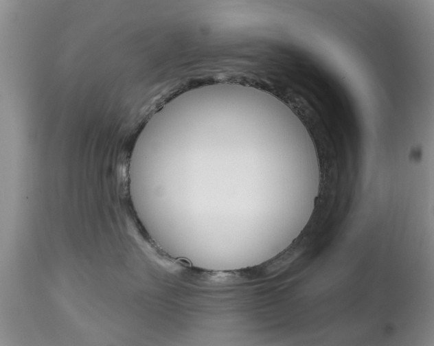 X0000112800527200908211006