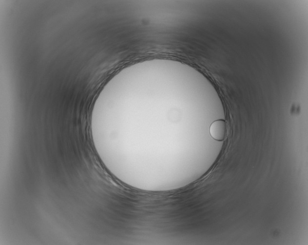 X0000112800528200908211006