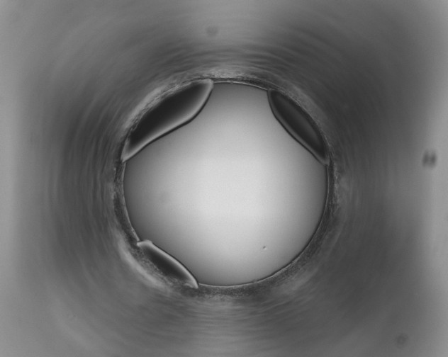 X0000112800530200908211005