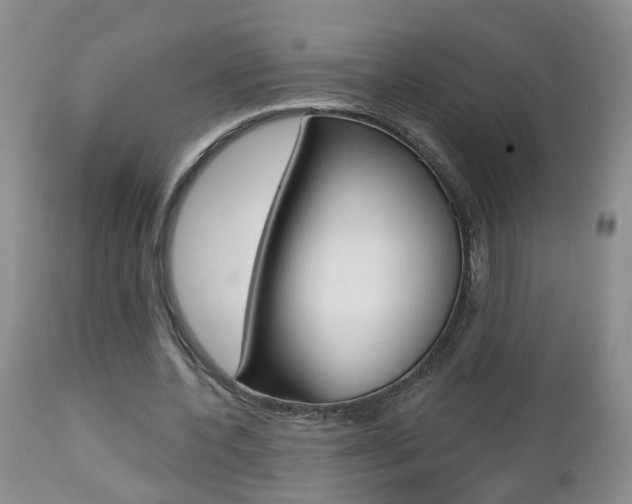 X0000112800532200908211005