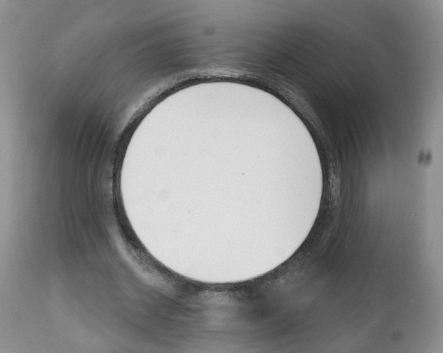 X0000112800534200908211005