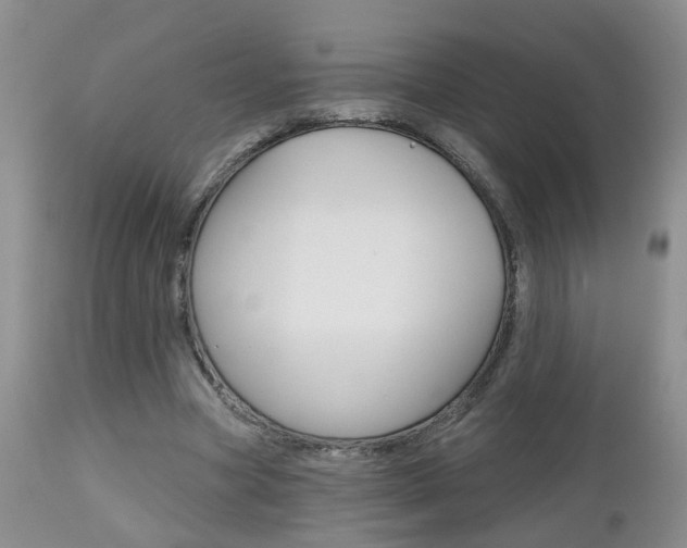 X0000112800537200908211005