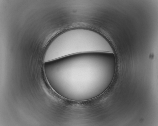 X0000112800538200908211005