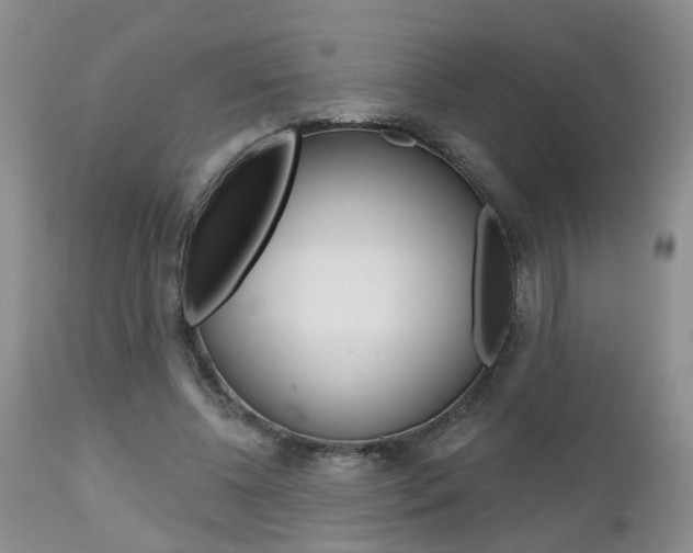 X0000112800540200908211005