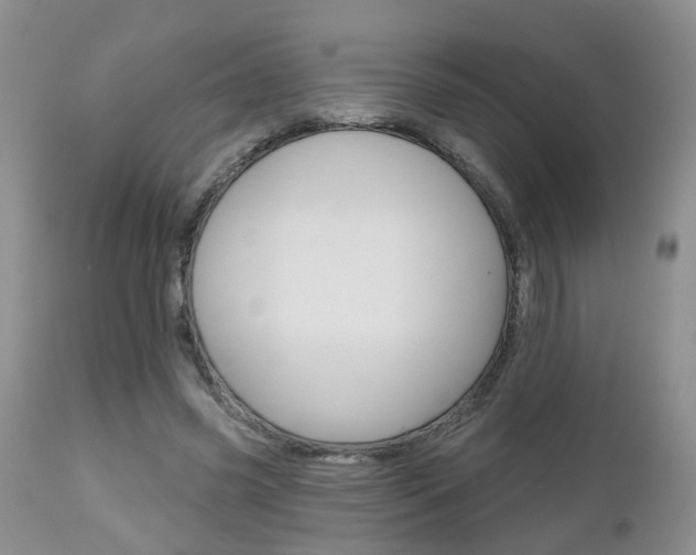 X0000112800541200908211005