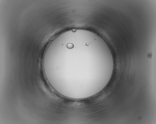 X0000112800542200908211005