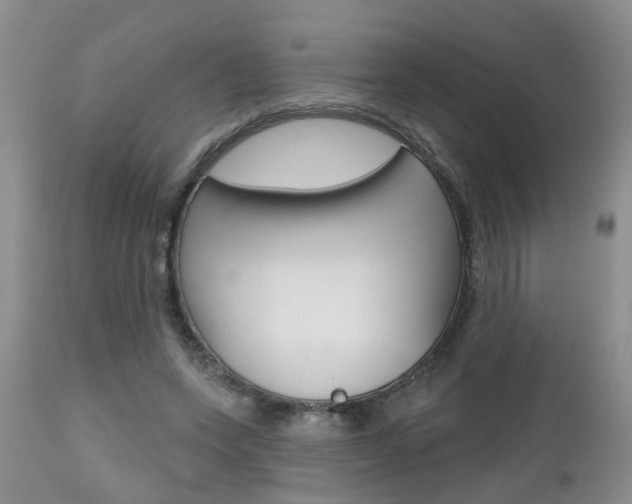 X0000112800543200908211005