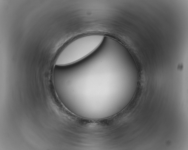 X0000112800544200908211005
