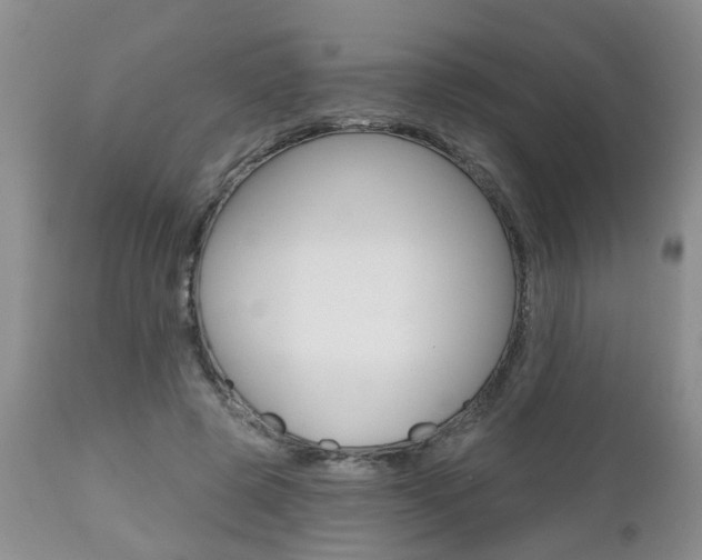 X0000112800545200908211005