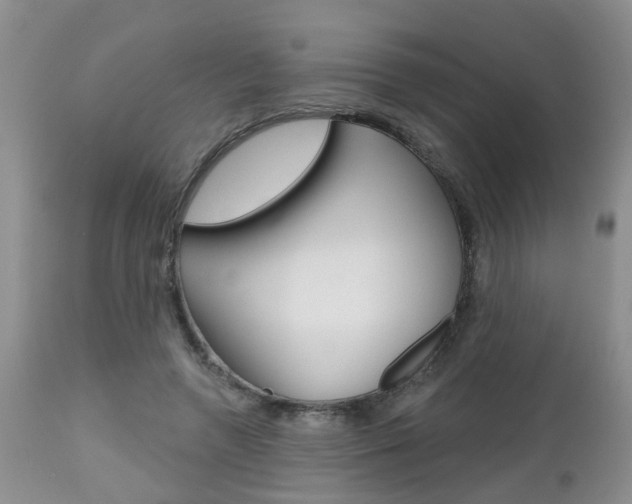 X0000112800546200908211005