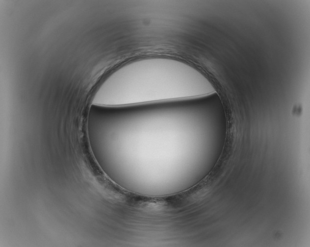 X0000112800548200908211005