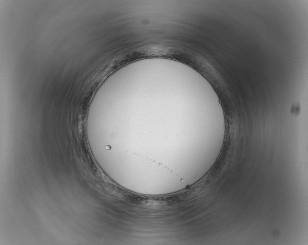 X0000112800549200908211005