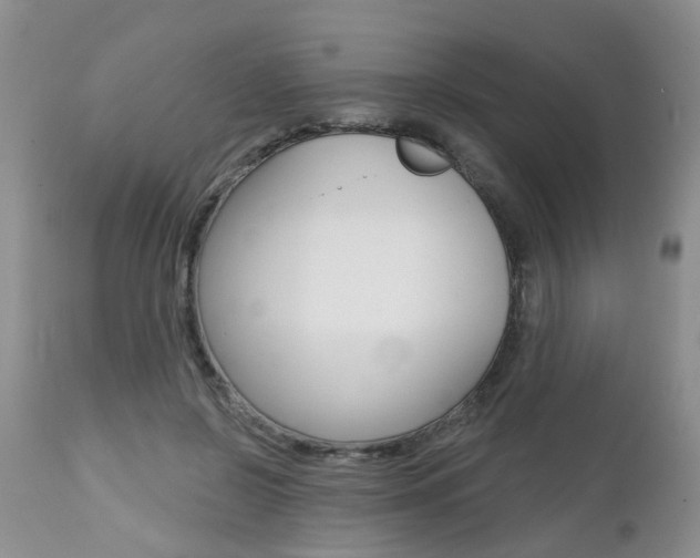 X0000112800550200908211005