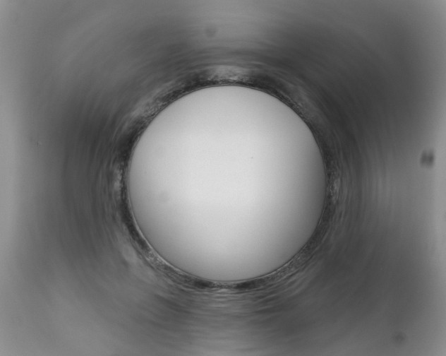 X0000112800551200908211005
