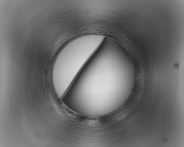X0000112800552200908211005