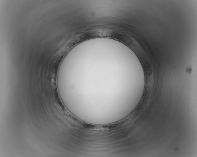 X0000112800553200908211005