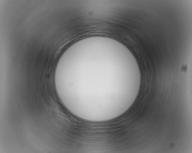 X0000112800556200908211005