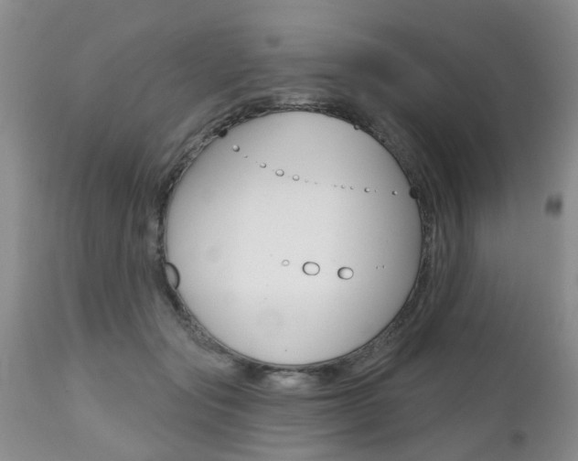 X0000112800557200908211005