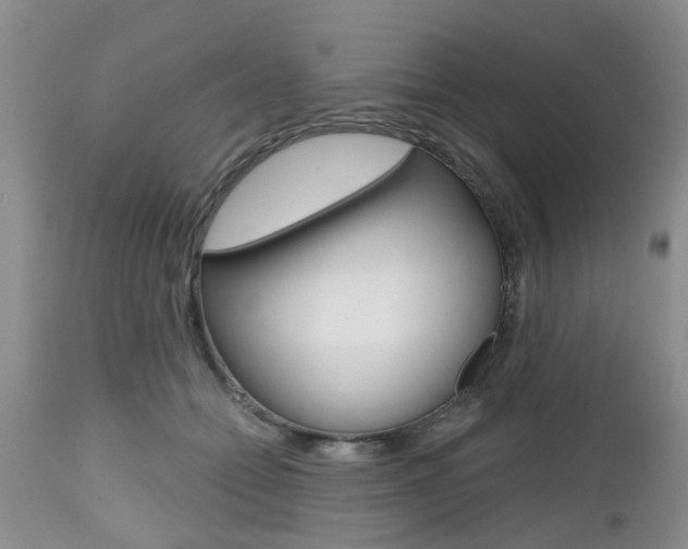 X0000112800558200908211005
