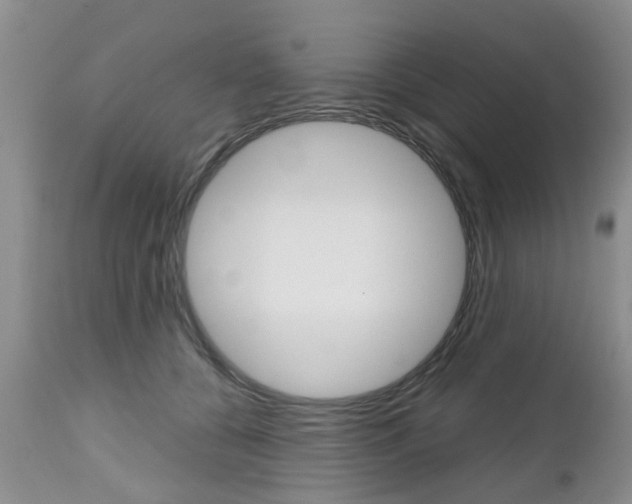 X0000112800560200908211005