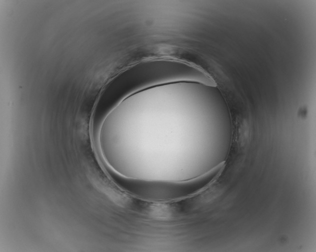 X0000112800562200908211005