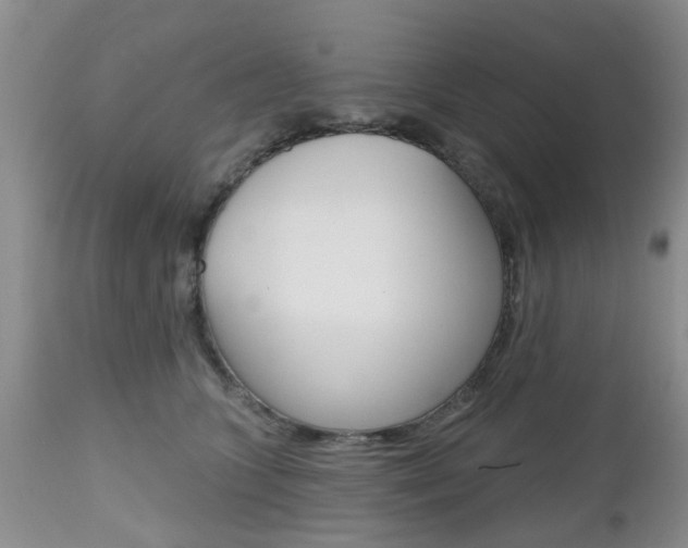 X0000112800563200908211005