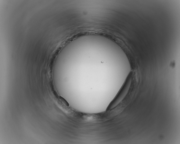 X0000112800564200908211005