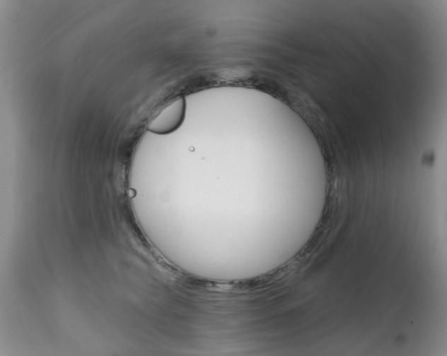 X0000112800565200908211005