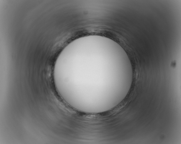 X0000112800567200908211005
