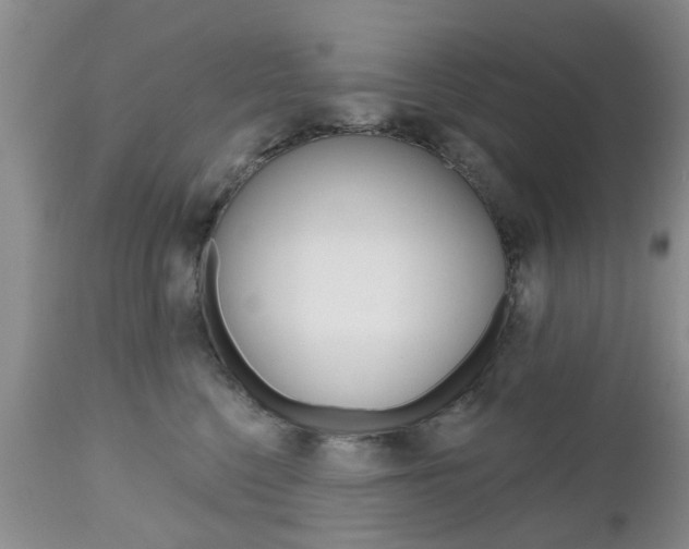 X0000112800568200908211005