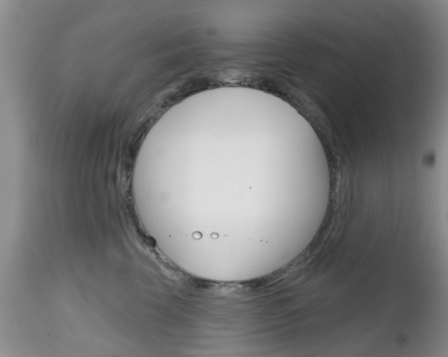 X0000112800569200908211005