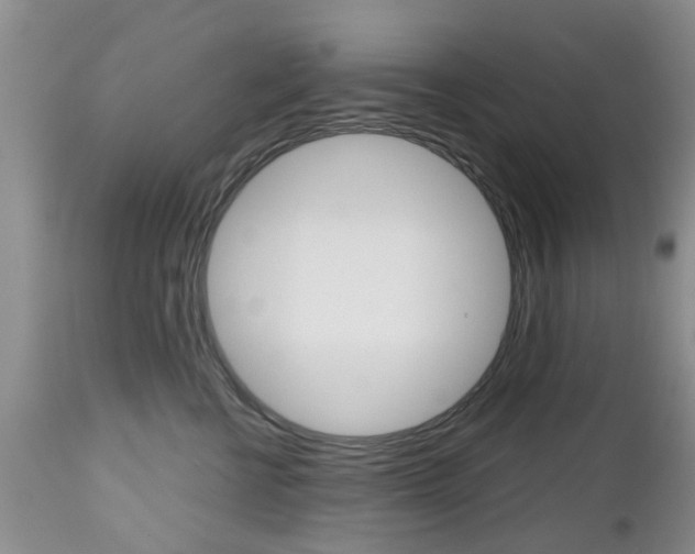 X0000112800570200908211005